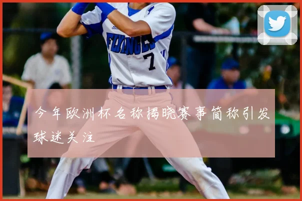 今年欧洲杯名称揭晓赛事简称引发球迷关注