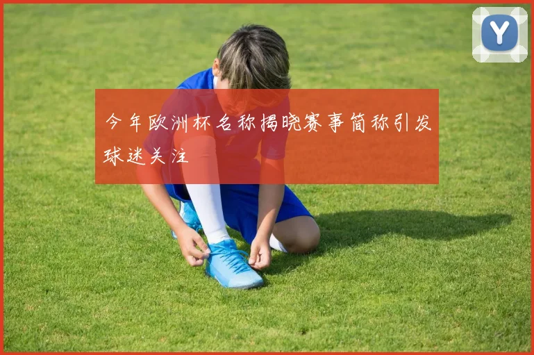 今年欧洲杯名称揭晓赛事简称引发球迷关注