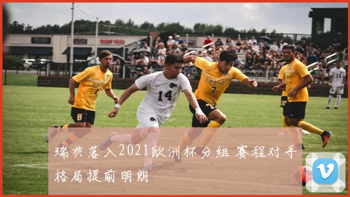 瑞典落入2021欧洲杯分组 赛程对手格局提前明朗