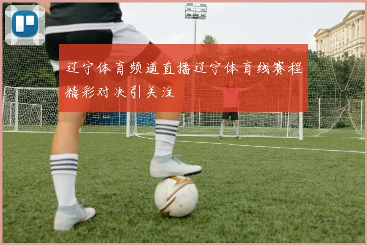 辽宁体育频道直播辽宁体育线赛程精彩对决引关注