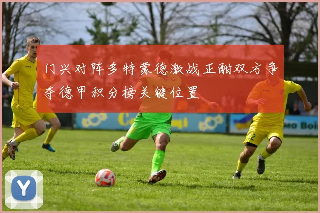 门兴对阵多特蒙德激战正酣双方争夺德甲积分榜关键位置